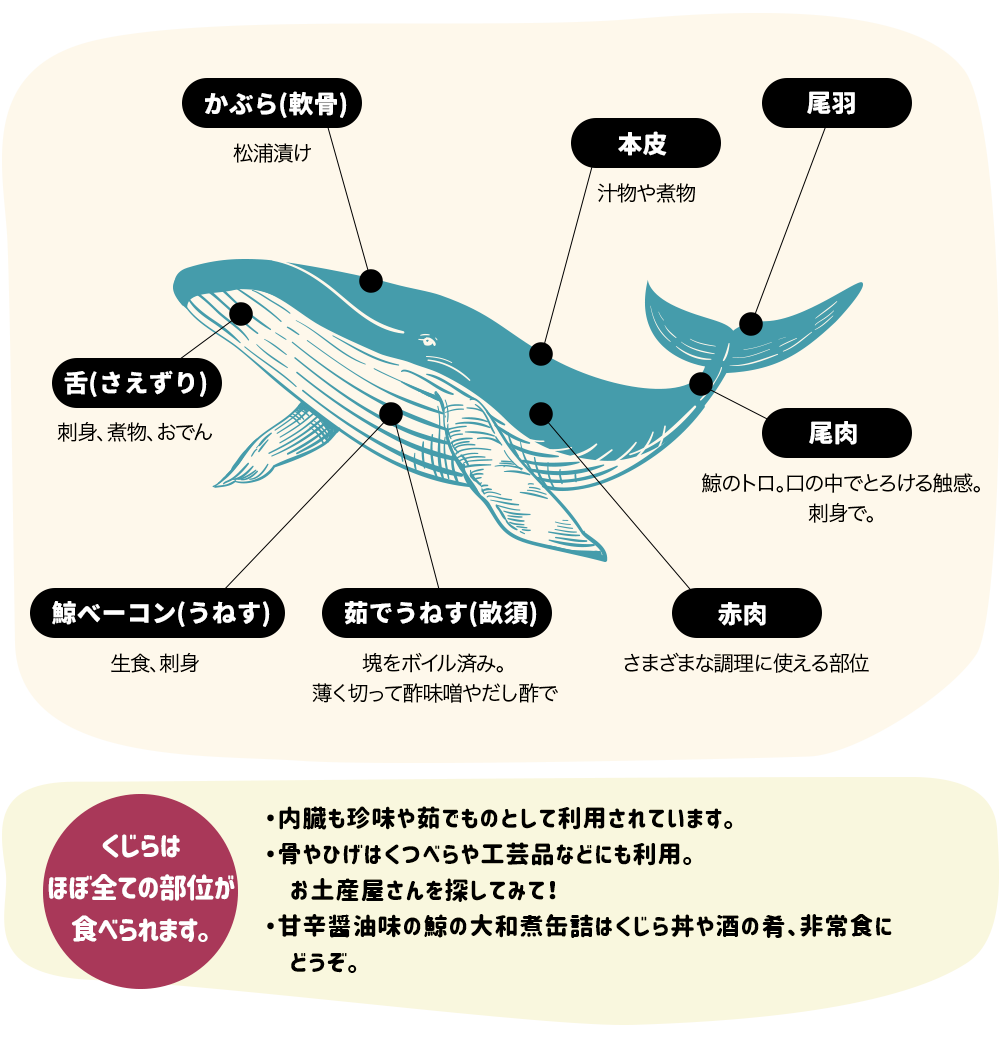 生活に鯨食のススメ